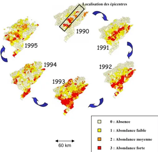 Figure 6. Diffusion spatiale des pullulations d’Arvicola terrestris dans le département du Doubs  (Franche-Comté, France) entre 1989 et 1995, soit la durée d’un cycle (d’après Giraudoux et al., 1997) 