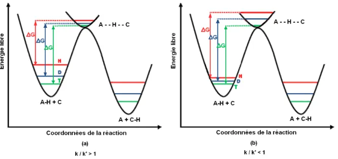 Figure 1-1 : Profil de l’énergie libre pour la réaction A-H + C   A + C-H. Les vibrations moléculaires du  substrat marqué (A-H vs