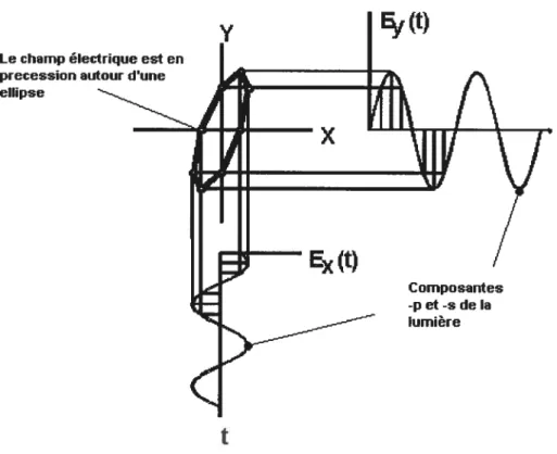 Figure 1.llSchéma des composantes orthogonales d’un faisceau de lumière polarisée sous une forme elliptique