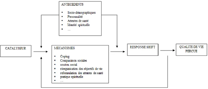 Figure 7 : Modèle théorique de la Response Shift et son impact sur la QdV perçue (Sprangers &amp; 