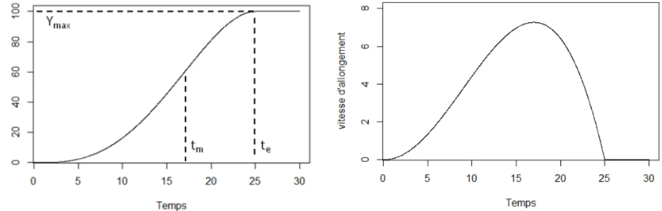 Figure 1.5 : Représentation graphique de la fonction Beta Growth et de sa dérivée. La fonction a été  paramétrée avec t b =0, t e =25, t m =17 et Y max =100.