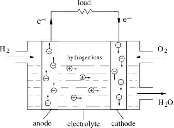 Figure 1.1  Shemati of struture and operation mehanism of fuel ells.