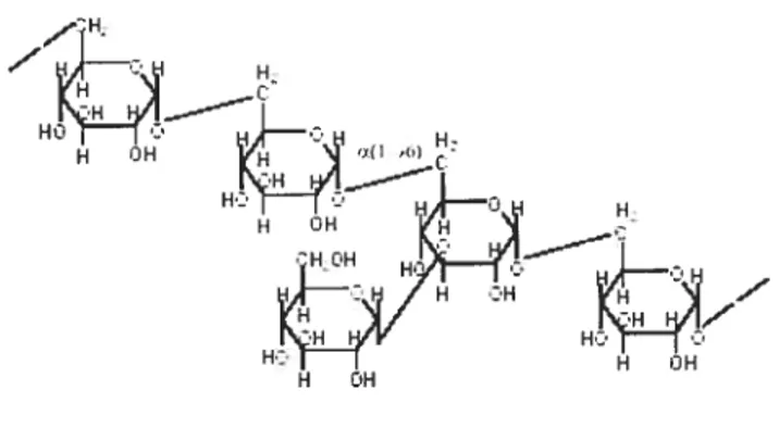figure 1.4: Structure d’un fragment d’une molécule de DEX.