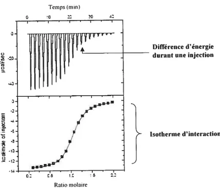 figure 1.12 Exemple de thermogramme.