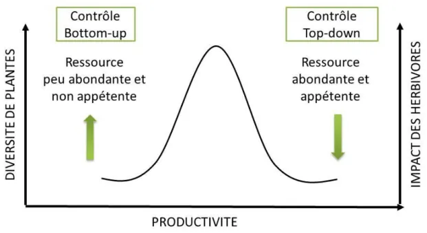 Figure 2. Relation entre la productivité des milieux et les mécanismes de contrôle des herbivores (Oksanen et al