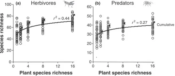 Figure 3. Effet de la richesse spécifique des plantes sur la richesse des insectes herbivores  (les criquets) et de  leurs prédateurs (les araignées) (Haddad et al