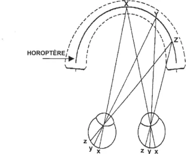 Figure 1: L’horoptère et l’aire de Panum (adapté de Schiffman, 1990)