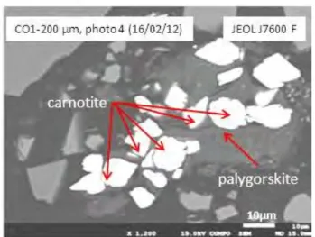 Figure  1  :  carnotite  associée  aux  amas  de  palygorskite  dans  la  calcrète  du  minerai  de  Trekkopje broyé à -200 µm