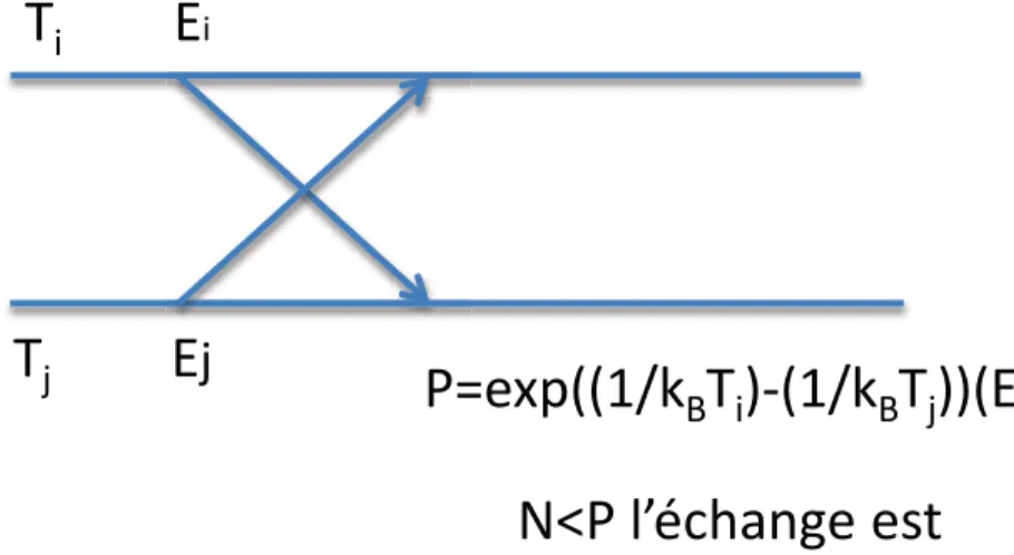 Figure 2.4 – Schématisation de l’échange de répliques en dynamique moléculaire : Aﬁn de déterminer si l’échange aura lieu, on compare les probabilités de Boltzmann d’avoir la conﬁguration i à T i et la conﬁguration j à T j avec celle où les températures so