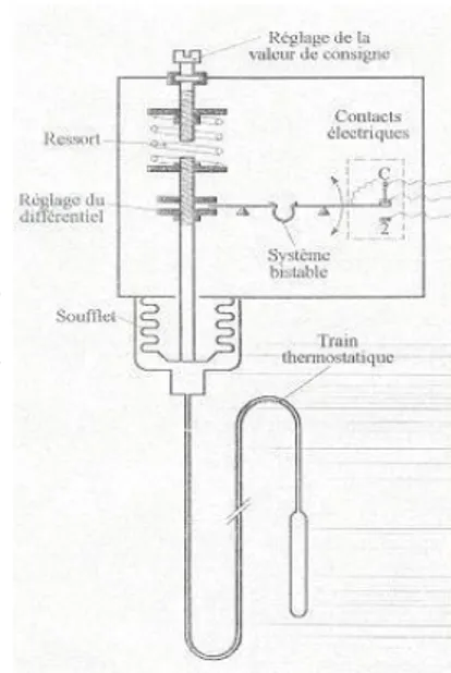 Figure 1.5 : Thermostat à bulbe
