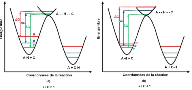 Figure 1-1 : Profil de l’énergie libre pour la réaction A-H + C       A + C-H. Les vibrations moléculaires du  substrat marqué (A-H vs