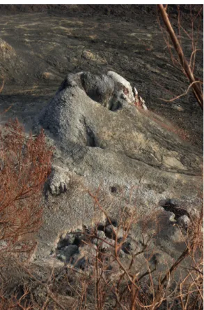 Figure 5: Hornito formé à l’aplomb d’un tunnel de lave à partir du 11 avril 2007. 