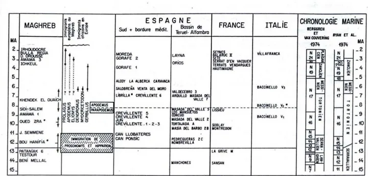 Figure I.2.1. Corrélation entre les formations continentales et marines dans le Néogène supérieur de  la Méditerranée occidentale (d’après Jaeger et al., 1977)