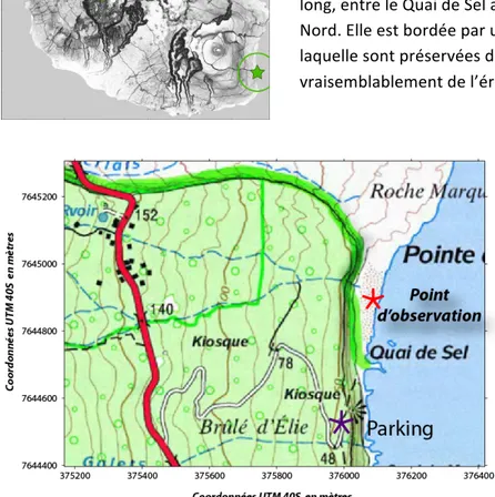 Figure 2: Plage du Tremblet formée lors de l’éruption d’avril 2007, au sud de la  coulée de lave