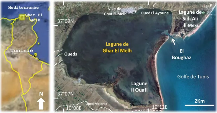 Figure 4. Le complexe lagunaire de Ghar El Melh 