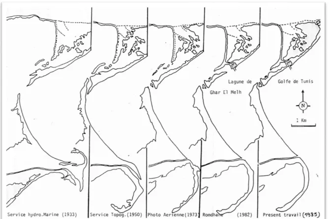Figure 5. Evolution du cordon littoral et des passes de la lagune (Romdhane, 1985)  3