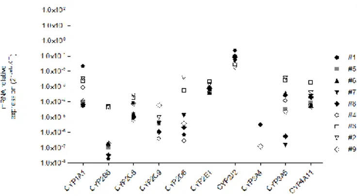 Figure 13. Expression relative dřARNm de différentes isoenzymes dans les cœurs explantés de 9 patients