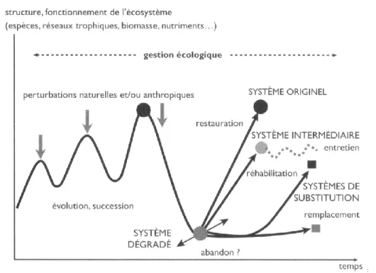 Figure 1.13 – Représentation schématique de l’évolution des systèmes écologiques et des options  envisageables selon les objectifs (in Barnaud et Fustec, 2007) 