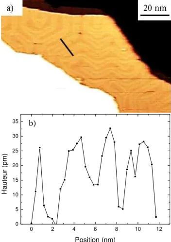 Figure  18  :  (a)  Image  STM  de  la  surface  d’un  monocristal  de  Au(111)  sous  une  contrainte  de    = 1,70 MPa  à  90 K.