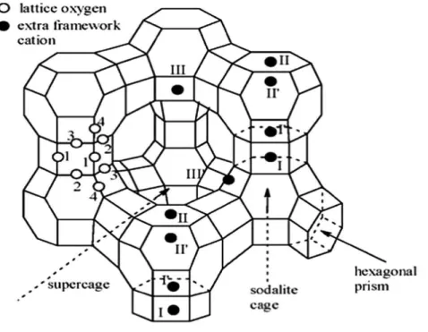 Figure III.1. Schematic representation of the NaX zeolite with extra-framework cation  positions [2]