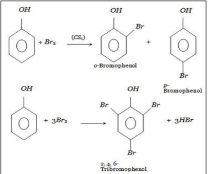 Tableau I.11 : Constantes cinétiques  d’action du brome sur les composés phénoliques (tiré de Heeb  et al., 2014) 
