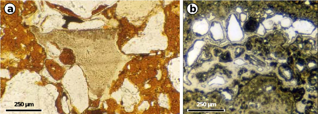 Figure 17 – Dépôt de silice des grès rouges a) Illuviation de silice isotrope (opale CT à la diffraction des  RX) dans un pore des grès rouges (La Brosse, Tortezais, 03)