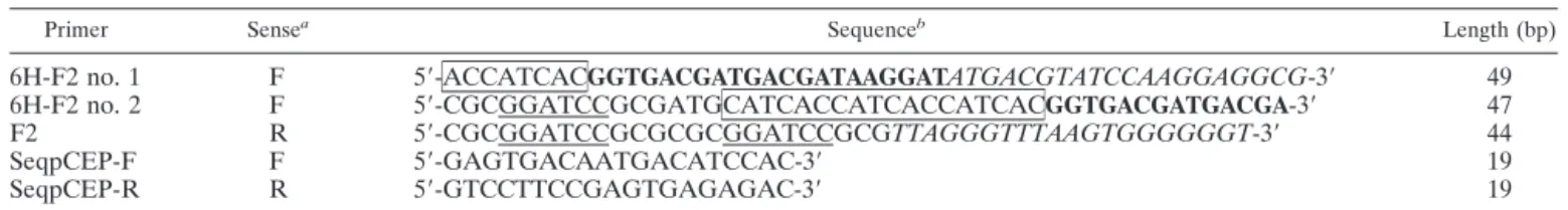 TABLE 1. Oligonucleotide primers used for the construction and sequencing of the pCEP5-6H-ORF2 plasmid