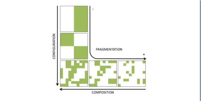 Figure 1.3  Principaux  indices de structuration paysagère utilisés en écologie du paysage : composition, configuration et  fragmentation du paysage