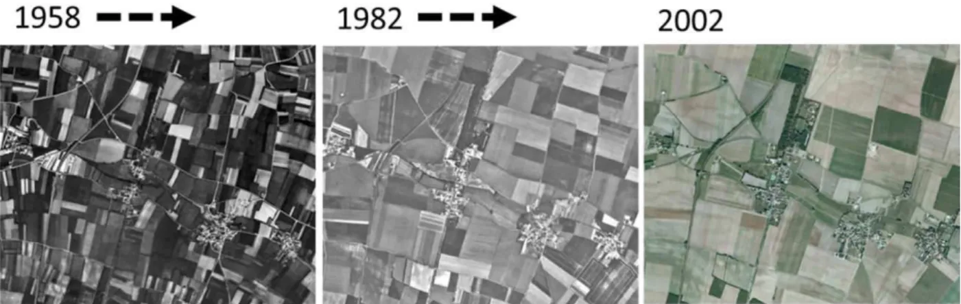 Figure 1.4 Evolution de la structure paysagère de la plaine agricole autour d’une commune de l’ouest de la France (Prissé- (Prissé-la-Charrière, 79) suite à l’intensification des systèmes de culture, entre 1958 et 2002 (source : IGN)