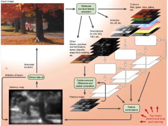 Figure I.10 – Flowchart of the model proposed by Itti et al. [6].