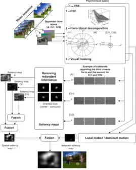 Figure I.11 – Flowchart of the model proposed by Le Meur et al. [7].