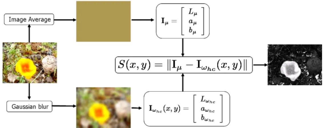 Figure I.12 – Flowchart of the model proposed by Achanta et al.[8]