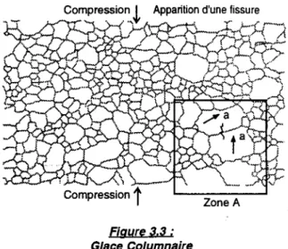 Figure 3.3 :  Glace Columnaire 