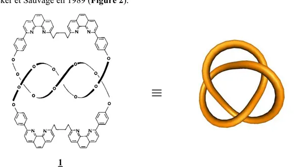 Figure 2 - Nœud de trèfle préparé par Dietrich-Buchecker et Sauvage 4  et sa représentation schématique