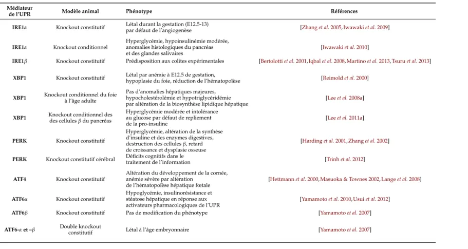 Tableau 3.1 – Phénotype des knockouts des différents médiateurs de l’UPR. Ex : jour embryonnaire x