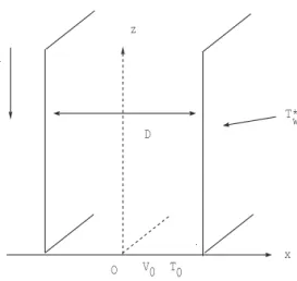 Fig. 1. Schematic representation of system under study :Two parallel vertical plates