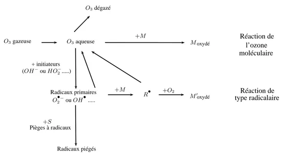 Figure 1.1 – Diﬀérents modes d’interaction de l’ozone en solution aqueuse