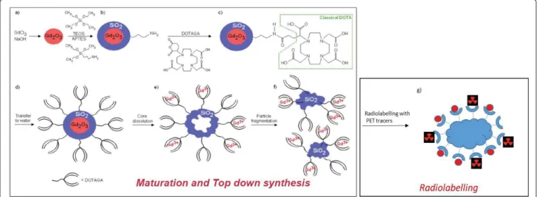 Figure 1: Preparation of AGuIX: (a-c) DOTAGA grafting, (d) transfer to water and addition of DTPA, (e-f) core dissolution and  polysiloxane fragmentation and (g) radiolabeling with PET tracers.