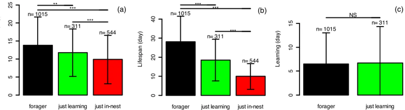 Figure 5 : Influence of life history on task duration, (a) in-nest tasks, n=1870, (b) lifespan, n=1870, (c) learning,  n=1326.