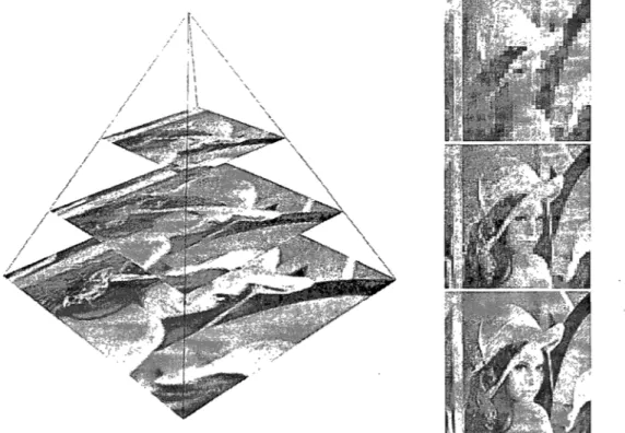 FIG.  3.2  - Pyramide  multi-résolution  utilisée  pour  l'appariement  de  blocs  hiérarchique 