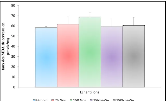 Figure 26: Variation de taux des MDA mitochondriale de cerveau des lapins témoins  et traités après 90 jours de traitement(n=05, p=0.012) 
