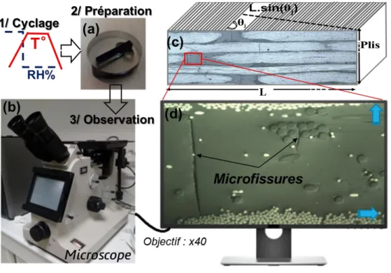 Figure 3. Différentes étapes de quantification de microfissures 