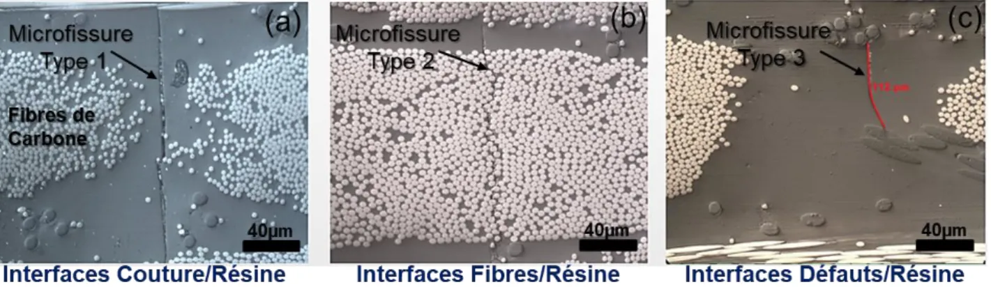 Figure 4. Différents types de microfissures du stratifié NCF 