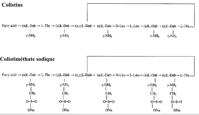 Figure 10 :  Structure  de  la  colistine  et  du  colistiméthate  sodique.  Adapté  de  (Falagas  and  Kasiakou 2005) 