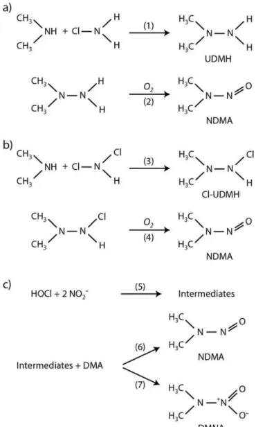 Figure I.15 : Voies de formation de la N-nitrosodiméthylamine  à partir de la chloramination et de la chloration de la diméthylamine 