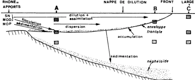 Fig. 3  Coupe  du  panache  rhodanien 