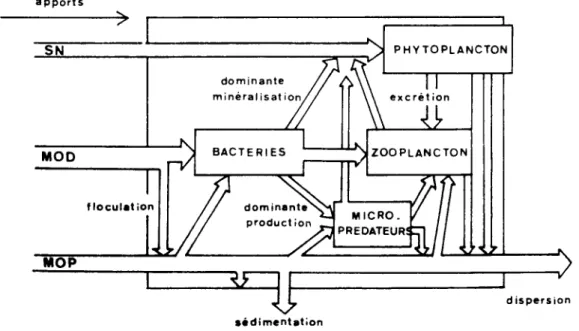 Fig. 4  Schéma  provisoire des  transferts  dans  le panache 