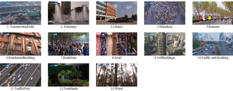 Figure 1: Snapshots of video sequences