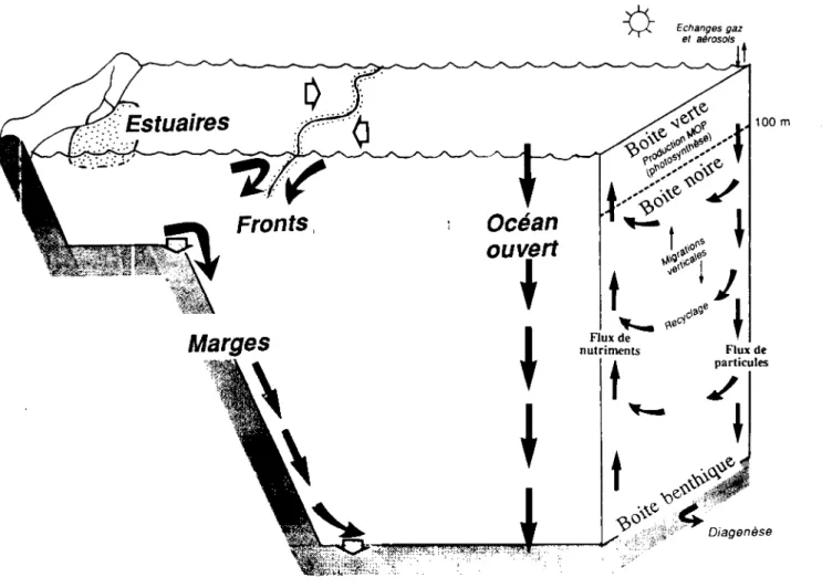 Fig.  2  Systèmes  océaniques  pouvant  être  pris  en  compte  par  Flux  Océaniques  actuellement  -7  �  Zones  océaniques  à  faibles  (Eumeli)  ou  fortes  variations 