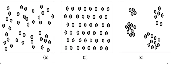 Figure n°05 - Principaux modes de distribution (Lacoste et Salanon, 2001)(a)                               (r)                                              (c) 